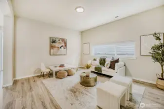 Downstairs Rec-Room or Study