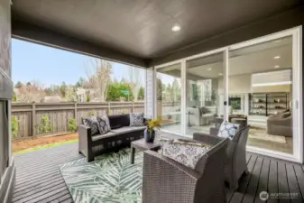 Covered Patio Deck & Fireplace
