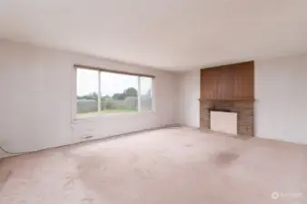Great size living room - fireplace has not been used in years.