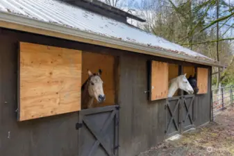 3 Stalls/ Paddock Area and if needed...room for a couple more.  Hayloft has great storage !