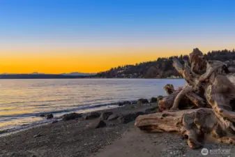 Sand, wood and sea.