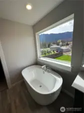 View from the primary bathroom towards the back.