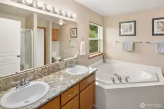 Primary bathroom with soaking tub.