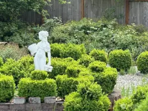 Incomparable, peaceful gardens