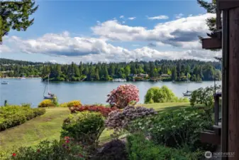Gorgeous, mature landscape
