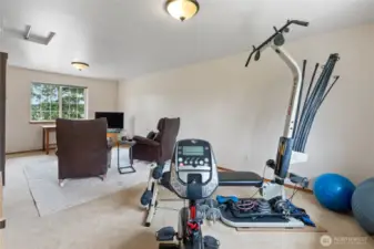 Rec room has a Murphy Bed and plenty of room for a work out room.