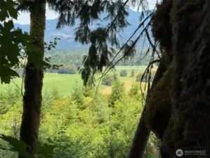 view from campsite on lot 4