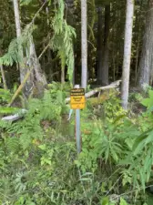 Broder between lot 4 and National Forest