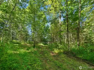 Photos are representative of the overall property and may not reflect the unique features of each individual lot.