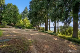 Looking South, Down Hood Canal