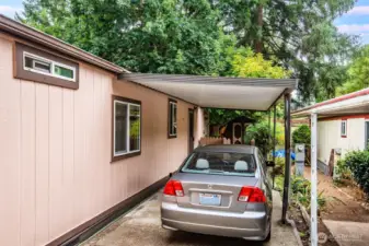 Long driveway and carport provide multiple parking options.