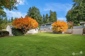 Virtual enhancement used to show potential landscaping.