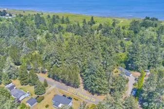 It doesn't get more peaceful and private than this! Willapa Bay is about 1,200 feet away!