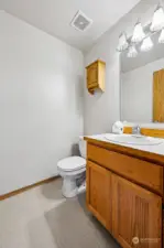 Half Bathroom downstairs