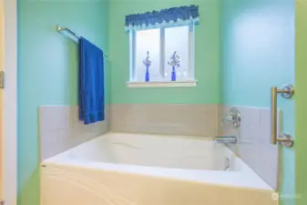 Primary Master bathtub