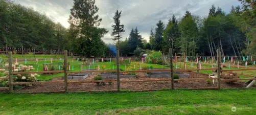 Beautiful fully fenced garden area.