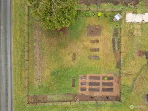 Aerial view of garden