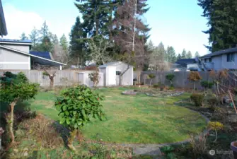 View across backyard towards two storage sheds.