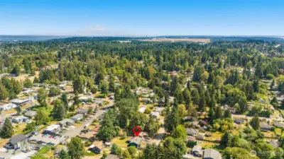 Nearby Grocery Stores, Restaurants & Shopping