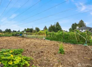 Community Garden/Pea Patch