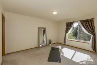 1 of 3 upper bedrooms.  This one has a large walk-in closet.