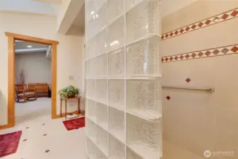 Glass block walk in shower featuring a railhead!