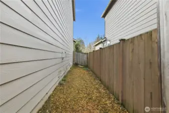side of the house was used as a dog run