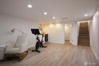 Downstairs family room