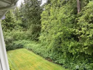 View to the left from the living room