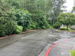 The winding road into WoodBrook