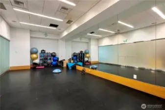 Yoga area equipped with Bosu balls and mats, offering a peaceful space for mindful exercise and stretching.