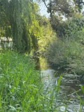 1,400+ ft of Newaukum creek.
