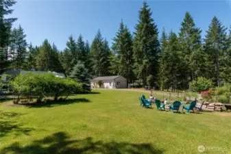 4 huge blueberry trees Camping space and community fire pit