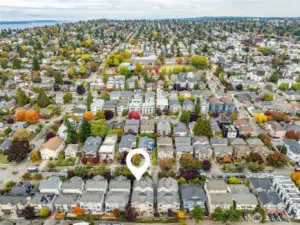 Tree-lined streets. An unusually high canopy for the city; those deep reds and golds make fall in Ballard feel cinematic. Ballard Community Center, tucked beside the playfield, it anchors a lot of neighborhood events and youth programs.