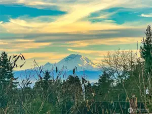 Views of Mt. Rainer at dusk.