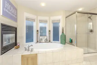 Primary bathroom tub