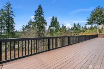 Fantastic large deck for barbeque and soaking up the sun.