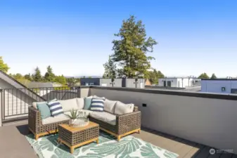Enjoy this home's spacious roof-top deck with Olympic Mountain views, in-wall lighting, outlets, natural gas & H2O!