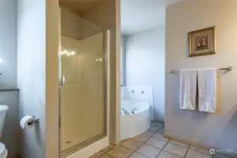 There is plenty of room for the shower and the soaking tub plus a window letting in natural light.