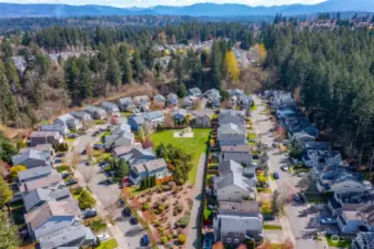 This is a great view of the neighborhood picnic area in the center of the community.  This special location gives you so many amenities.  It is private and yet close to shopping, great Maple Valley schools, and Hiway 18.