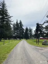 Parklike driveway