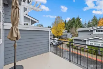 Patio off Kitchen and Dining Room