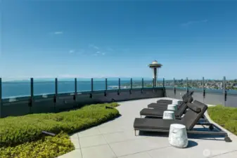 Stunning sunning deck