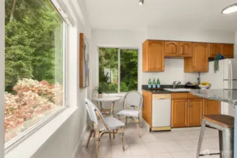 Large Picture Framed Windows