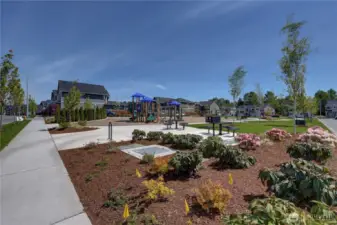 Community Playground