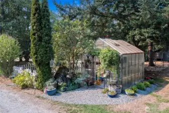 8x10 Greenhouse. Large berry patch.