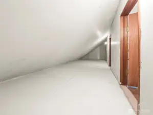 Bonus Room Storage
