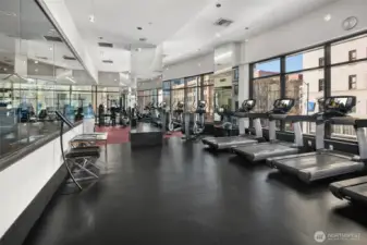 Gym, Yoga Studio, Sauna