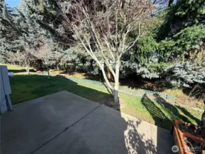 Back patio with a backyard with views of trees.