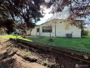 More of the backyard.